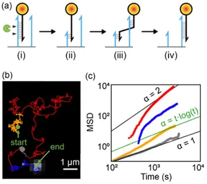 Mechanistic Understanding of Surface Migration Dynamics with DNA Walkers