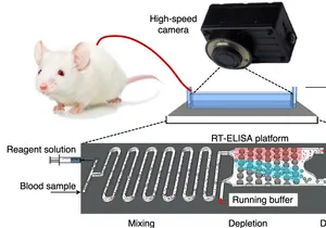 A Fluorescence Sandwich Immunoassay for the Real-Time Continuous Detection of Glucose and Insulin in Live Animals