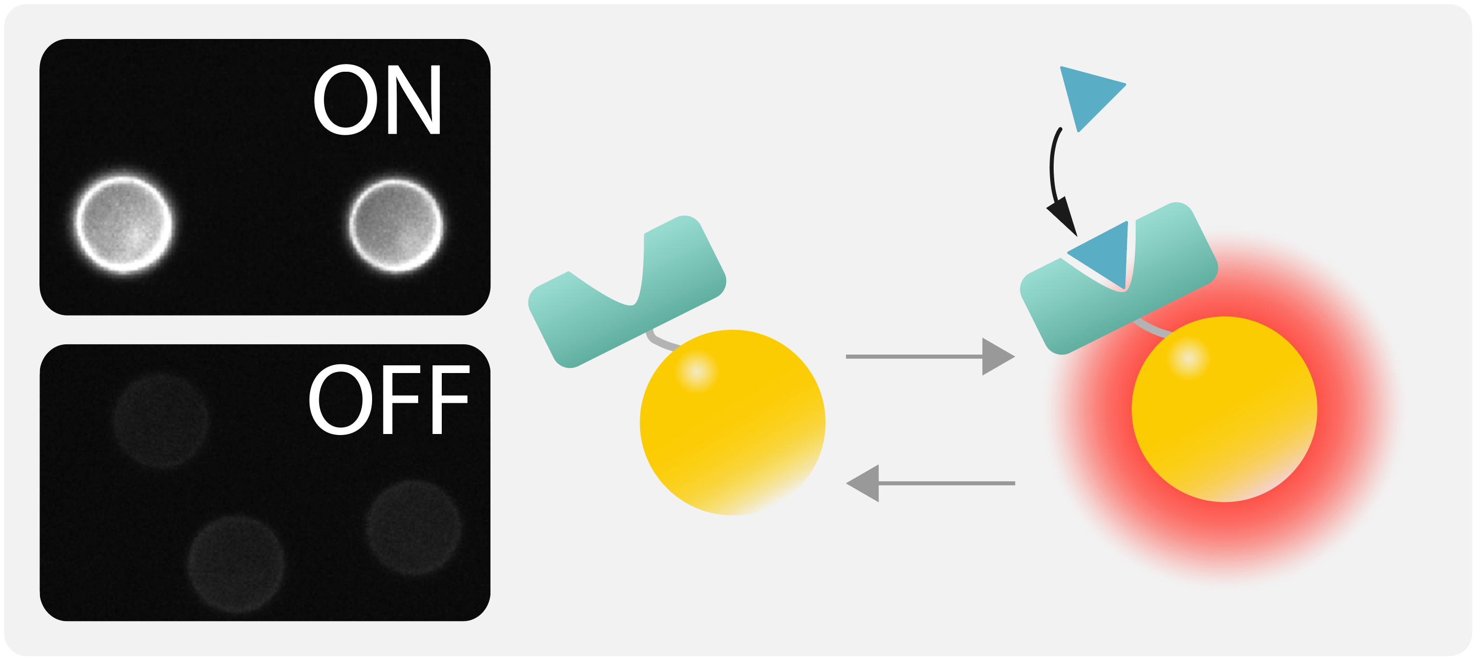 Bioanalytical Sensors